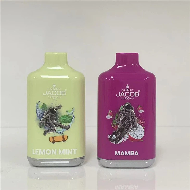 10000 Puffs Disposable Vape