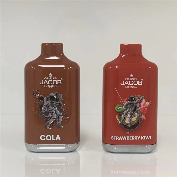 10000 Puffs Disposable Vape