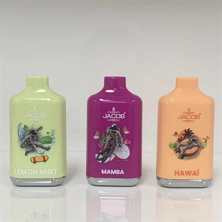 10000 Puffs Disposable Vape