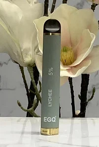 800 Puffs Disposable Vape With 550mAh Battery