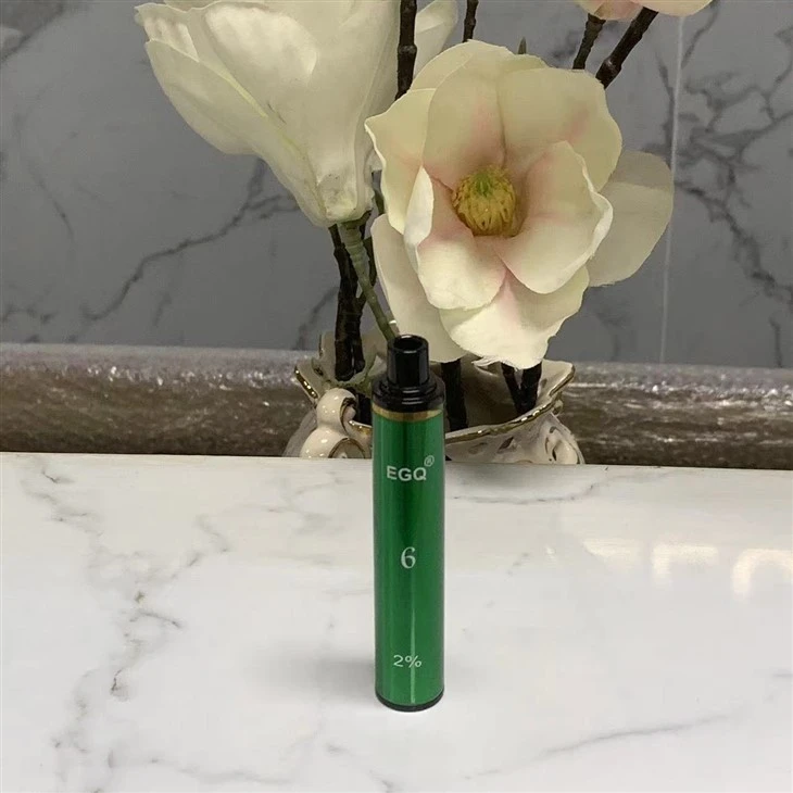 New Popular E Cig Disposable Vape Pen With 600 Puffs