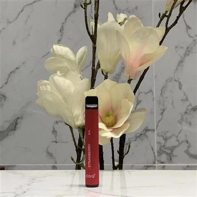 قلم Vape الأكثر مبيعًا مع 600 نفث